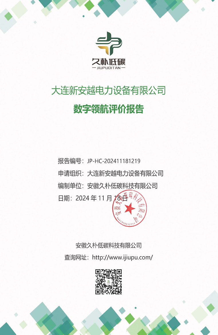 数字领航评价报告.jpg