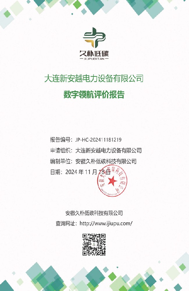 Digital Leadership Evaluation Report