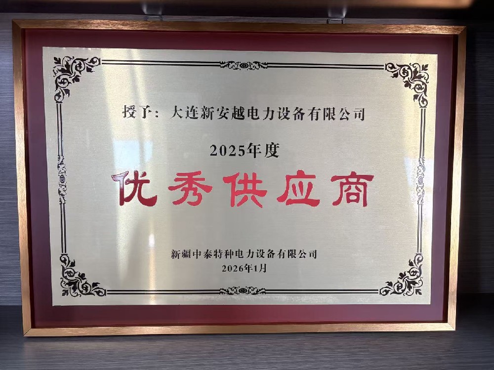大连新安越荣获新疆中泰特电年度